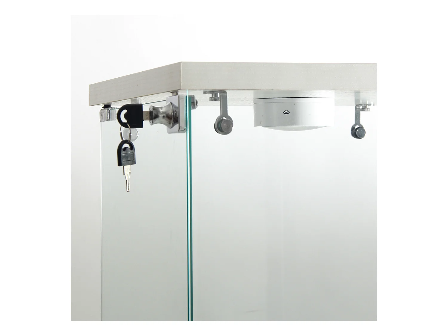 Vitrinekast van gehard glas met 2 lagen, deur, wit metalen frame en geïntegreerde ledverlichting – modern en elegant design