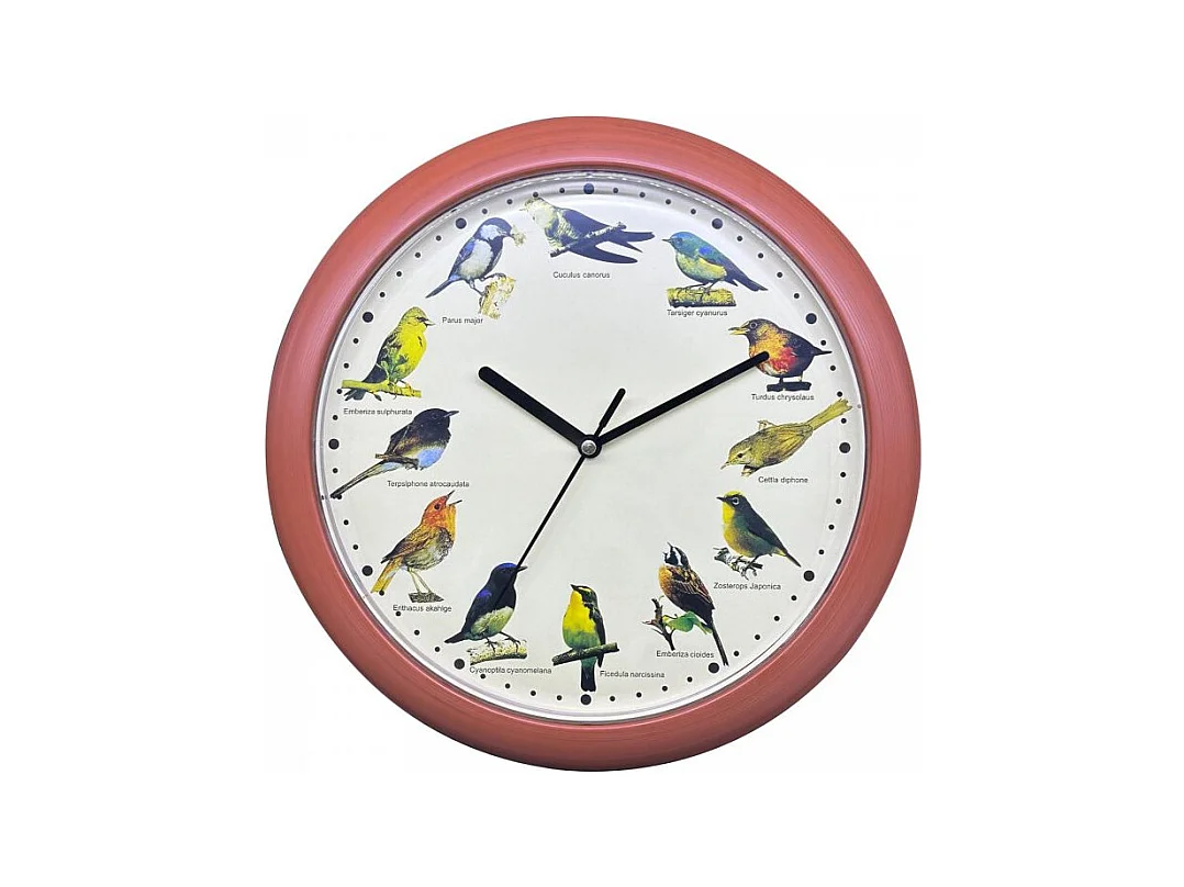 Horloge chant d'oiseau Bois Herzberg HG03701