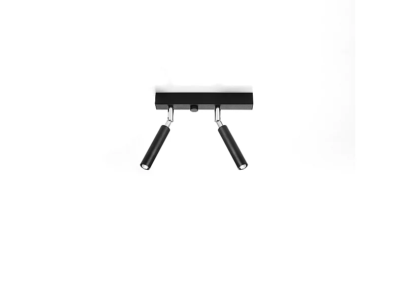 Plafondlampen Astix modern van  - 2 lichtbronnen 4000K - L.25 x H.20 cm - zwart