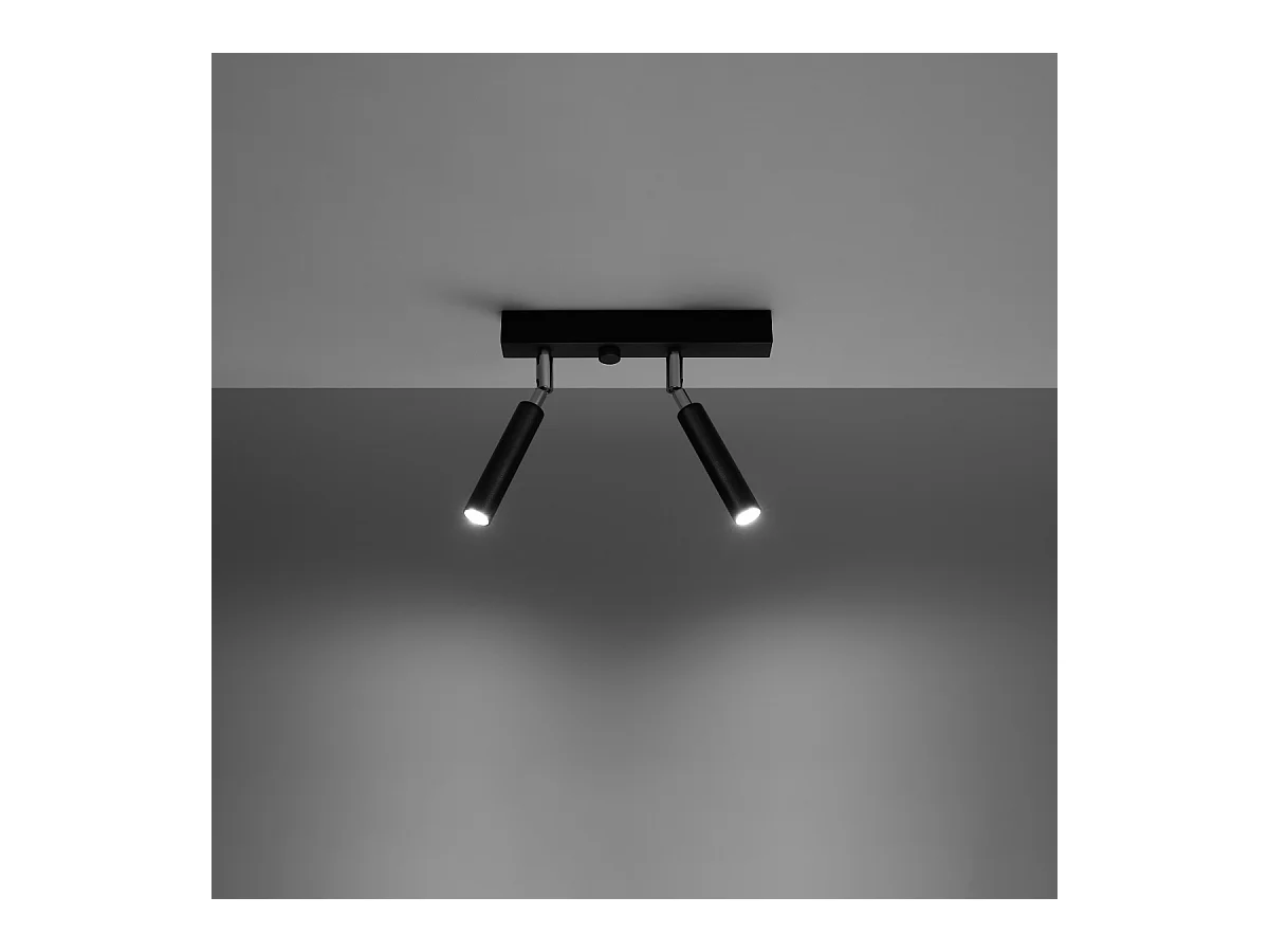 Plafondlampen Astix modern van  - 2 lichtbronnen 4000K - L.25 x H.20 cm - zwart