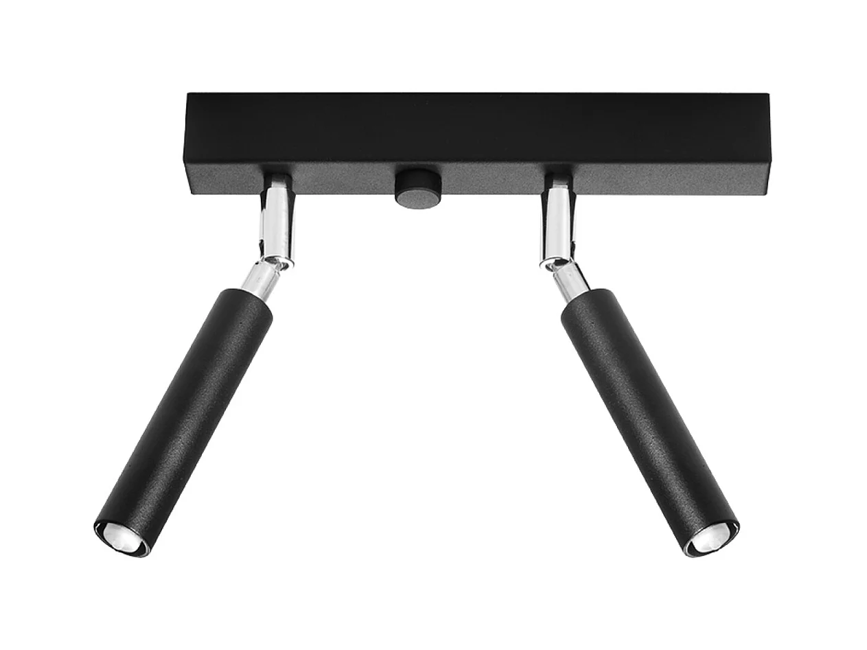 Plafondlampen Astix modern van  - 2 lichtbronnen 4000K - L.25 x H.20 cm - zwart