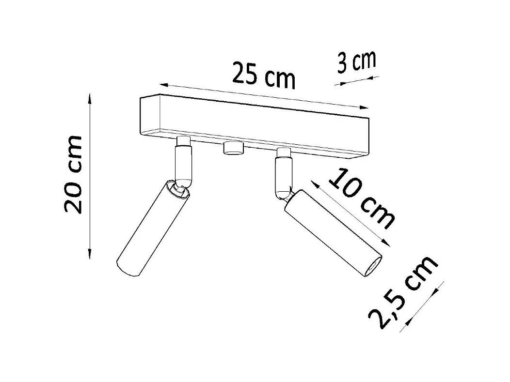 Plafondlampen Astix modern van  - 2 lichtbronnen 4000K - L.25 x H.20 cm - zwart