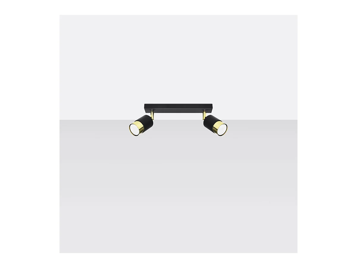 Plafonniers Alvor moderne en acier - 2 sources lumineuses 4000K - L.30 x H.18 cm - or noir