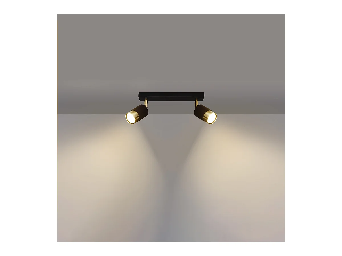 Plafonniers Alvor moderne en acier - 2 sources lumineuses 4000K - L.30 x H.18 cm - or noir