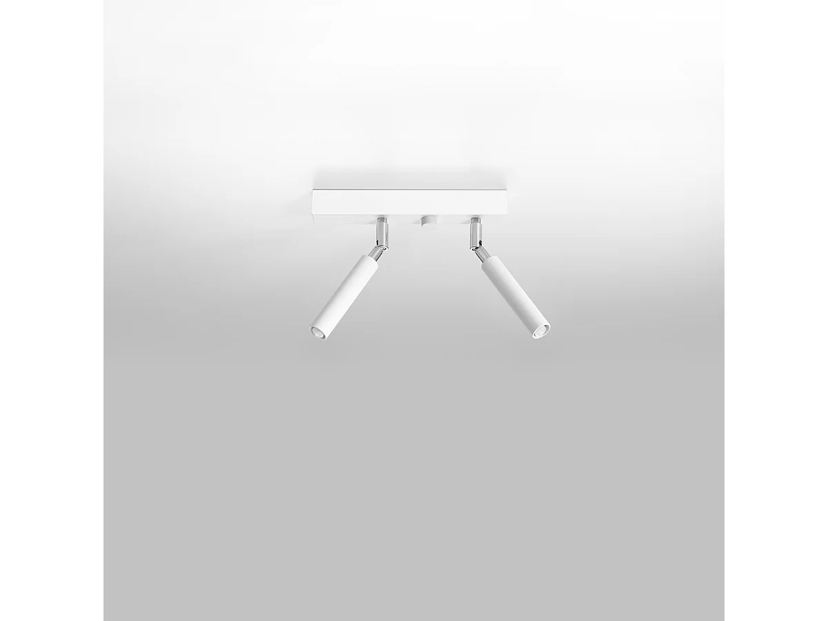 Plafonniers Astix moderne en aluminium - 2 sources lumineuses 3000K - L.25 x H.20 cm - blanc