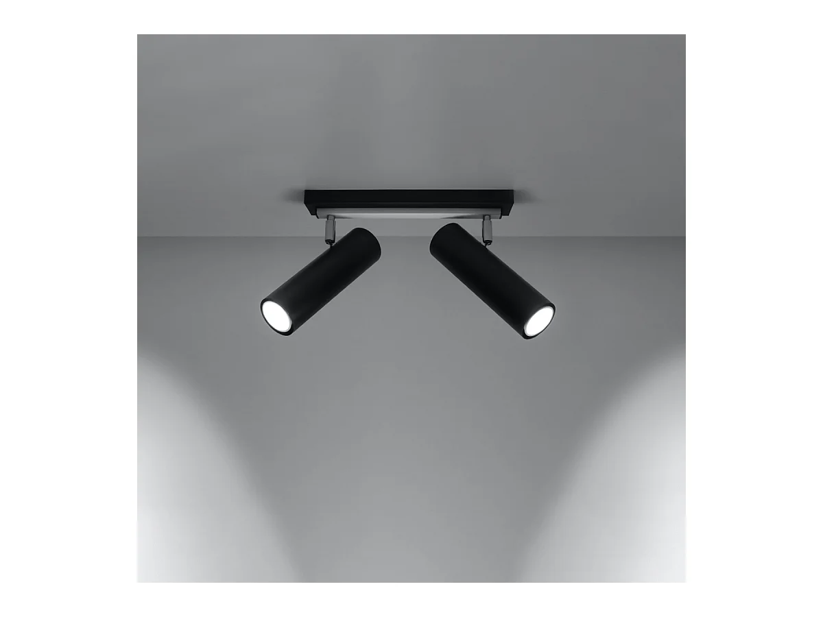 Plafony nowoczesny Invicta, stal - 2 źródło światła 4000K - L.30 x H.20 cm - czarny