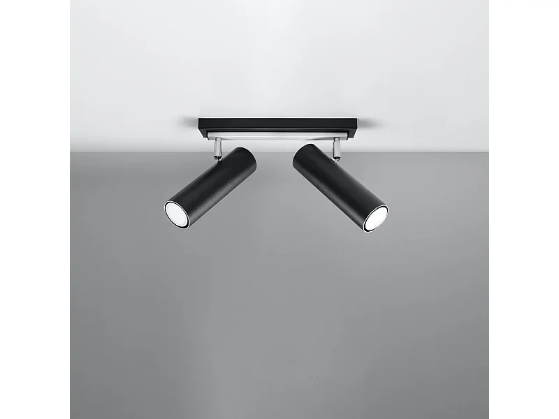 Plafonniers Invicta moderne en acier - 2 sources lumineuses 4000K - L.30 x H.20 cm - noir