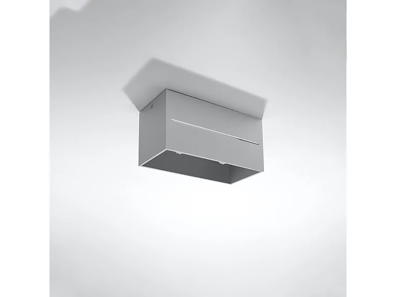 Plafonniers Zorbo maxi moderne en aluminium - 2 sources lumineuses 4000K - L.20 x H.10 cm - gris