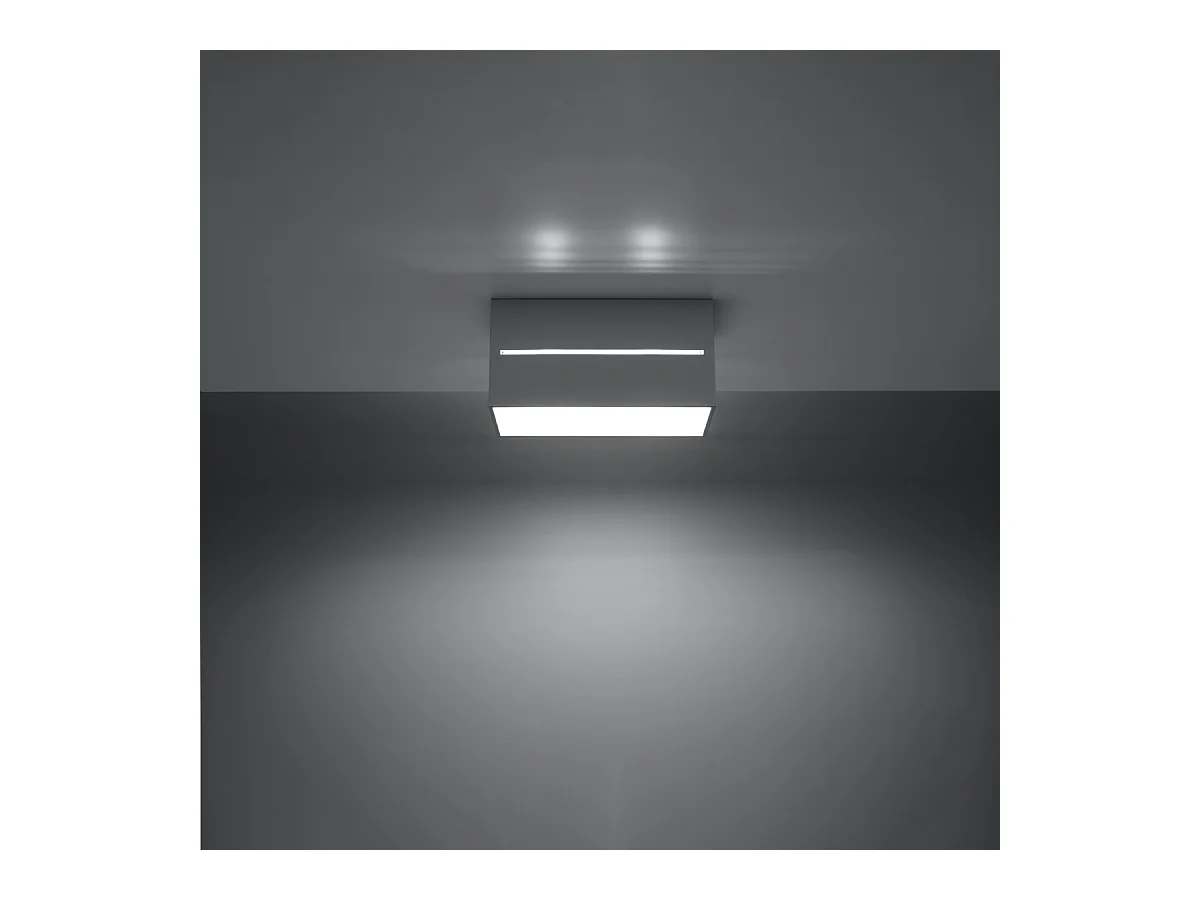 Plafonniers Zorbo maxi moderne en aluminium - 2 sources lumineuses 4000K - L.20 x H.10 cm - gris