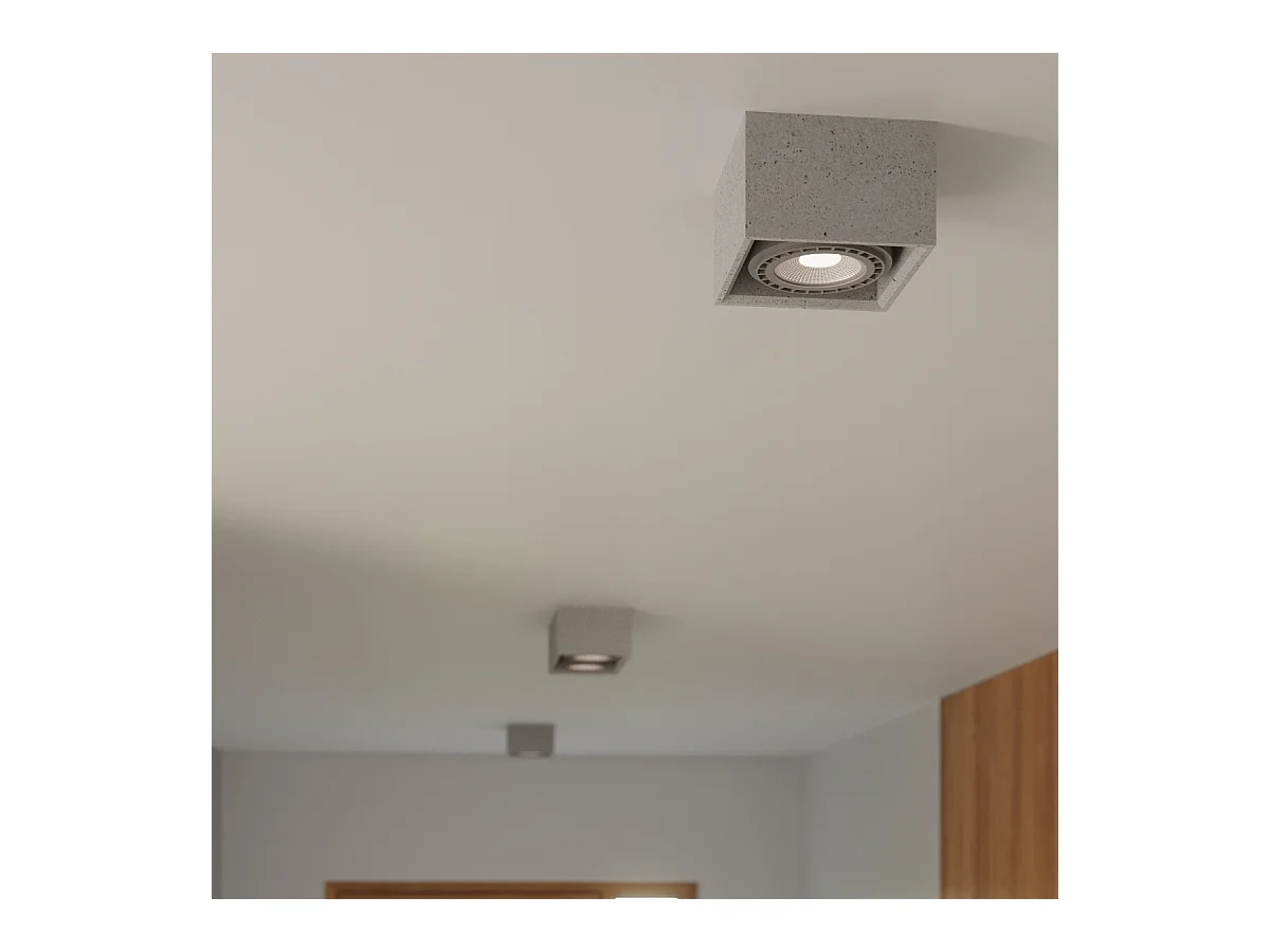 Plafonniers Zentra industriel en béton - 1 sources lumineuses 4000K - L.14 x H.9 cm - gris