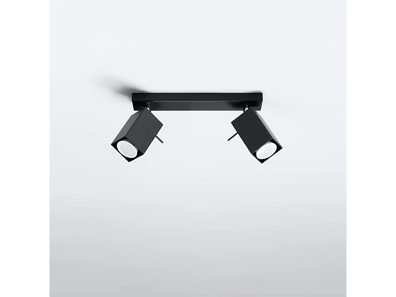 Plafonniers Briow moderne en acier - 2 sources lumineuses 4000K - L.30 x H.16 cm - noir