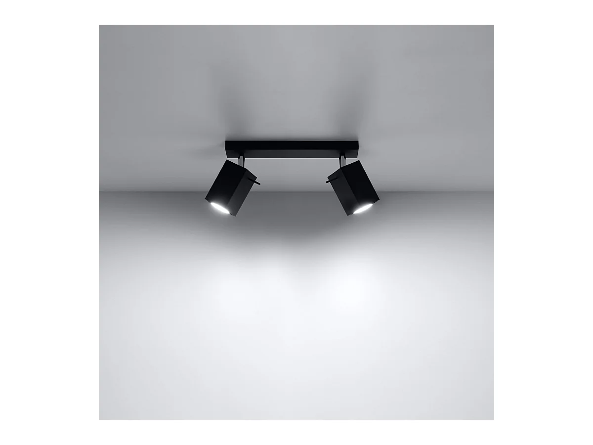 Plafonniers Briow moderne en acier - 2 sources lumineuses 4000K - L.30 x H.16 cm - noir