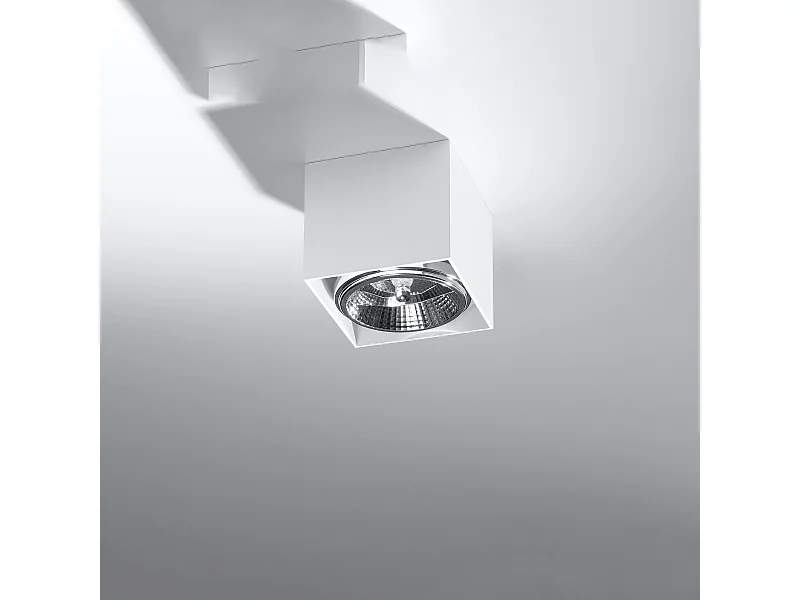 Plafonniers Nexiflex moderne en aluminium - 1 sources lumineuses 4000K - L.12 x H.11 cm - blanc