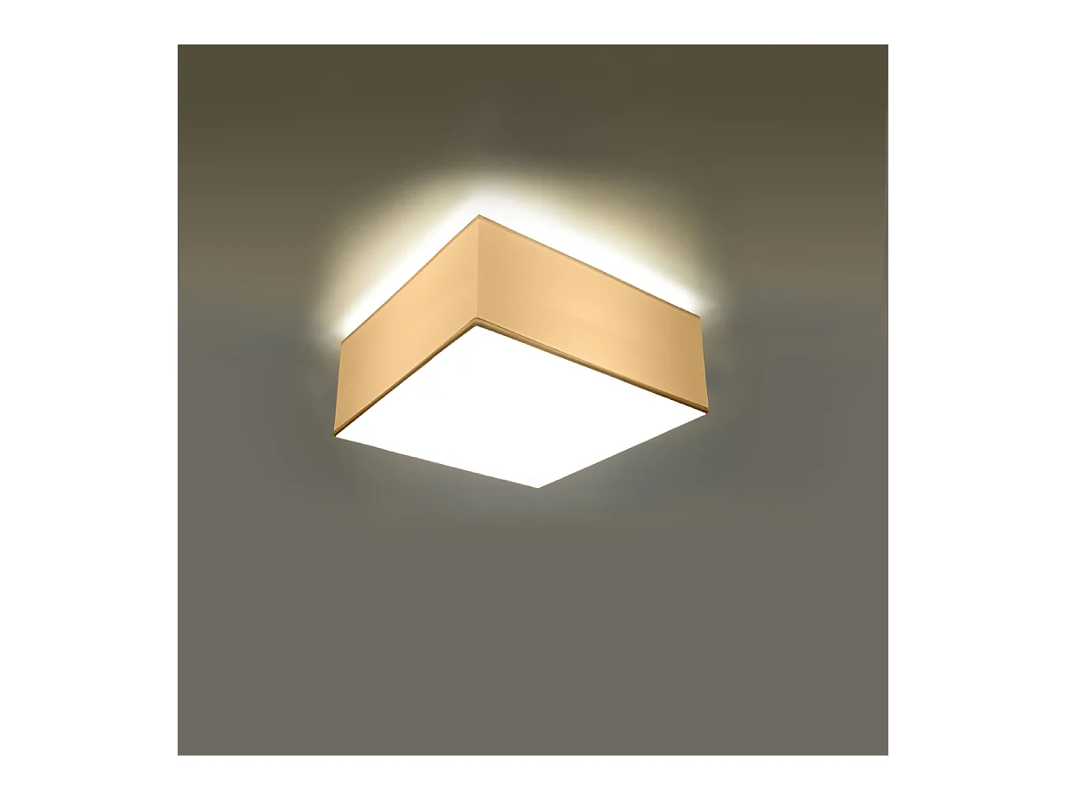 Plafondlampen Care minimalistisch van  - 1 lichtbronnen 4000K - L.25 x H.11 cm - wit