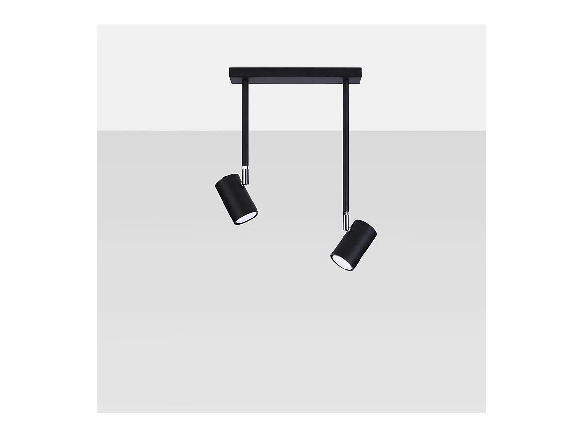 Plafondlampen Novatel modern van  - 2 lichtbronnen 4000K - L.30 x H.43 cm - zwart