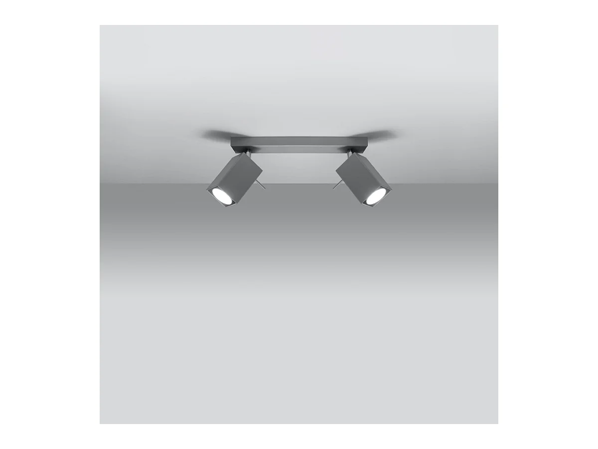 Plafonniers Briow moderne en acier - 2 sources lumineuses 4000K - L.30 x H.16 cm - gris