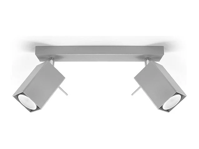 Plafonniers Briow moderne en acier - 2 sources lumineuses 4000K - L.30 x H.16 cm - gris