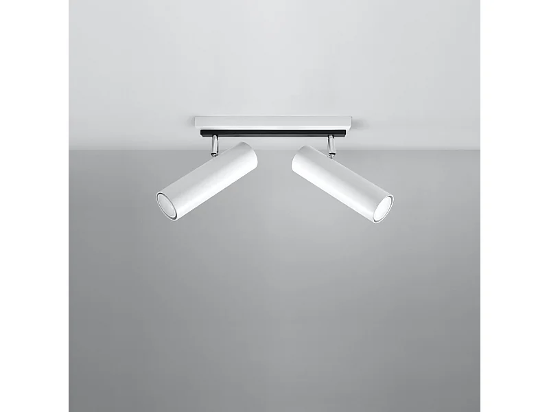 Plafondlampen Invicta modern van  - 2 lichtbronnen 4000K - L.30 x H.20 cm - wit