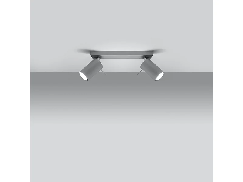 Plafonniers Briix moderne en acier - 2 sources lumineuses 3000K - L.30 x H.16 cm - gris