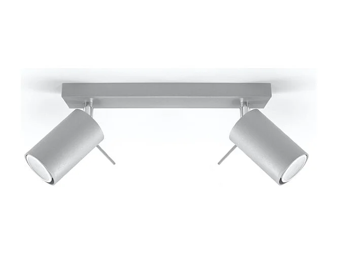 Plafonniers Briix moderne en acier - 2 sources lumineuses 3000K - L.30 x H.16 cm - gris
