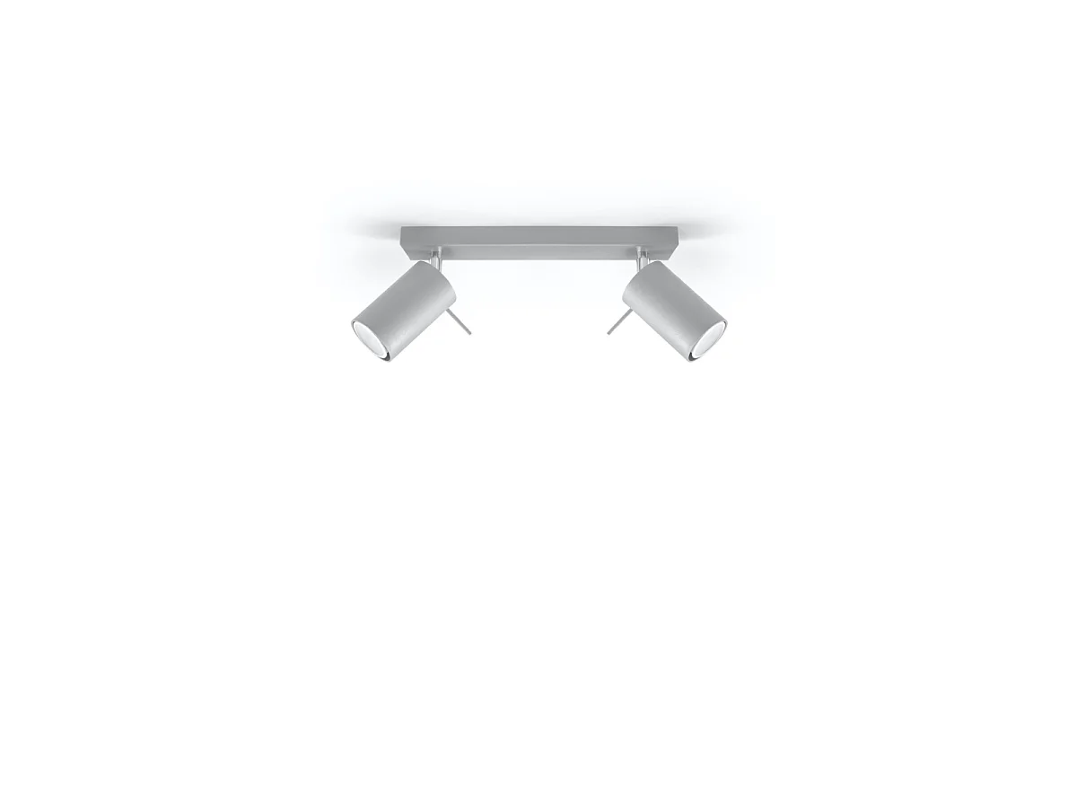 Luminárias de teto Briix moderno, aço - 2 fontes de luz 3000K - L.30 x H.16 cm - cinza