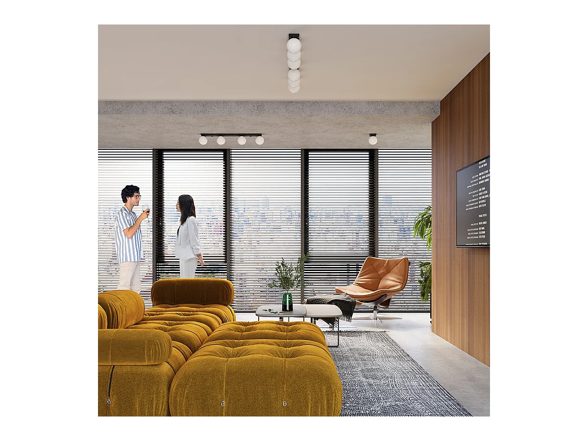 Plafonniers Zynfi moderne en acier/verre - 2 sources lumineuses 4000K - L.34,5 x H.14,5 cm - noir