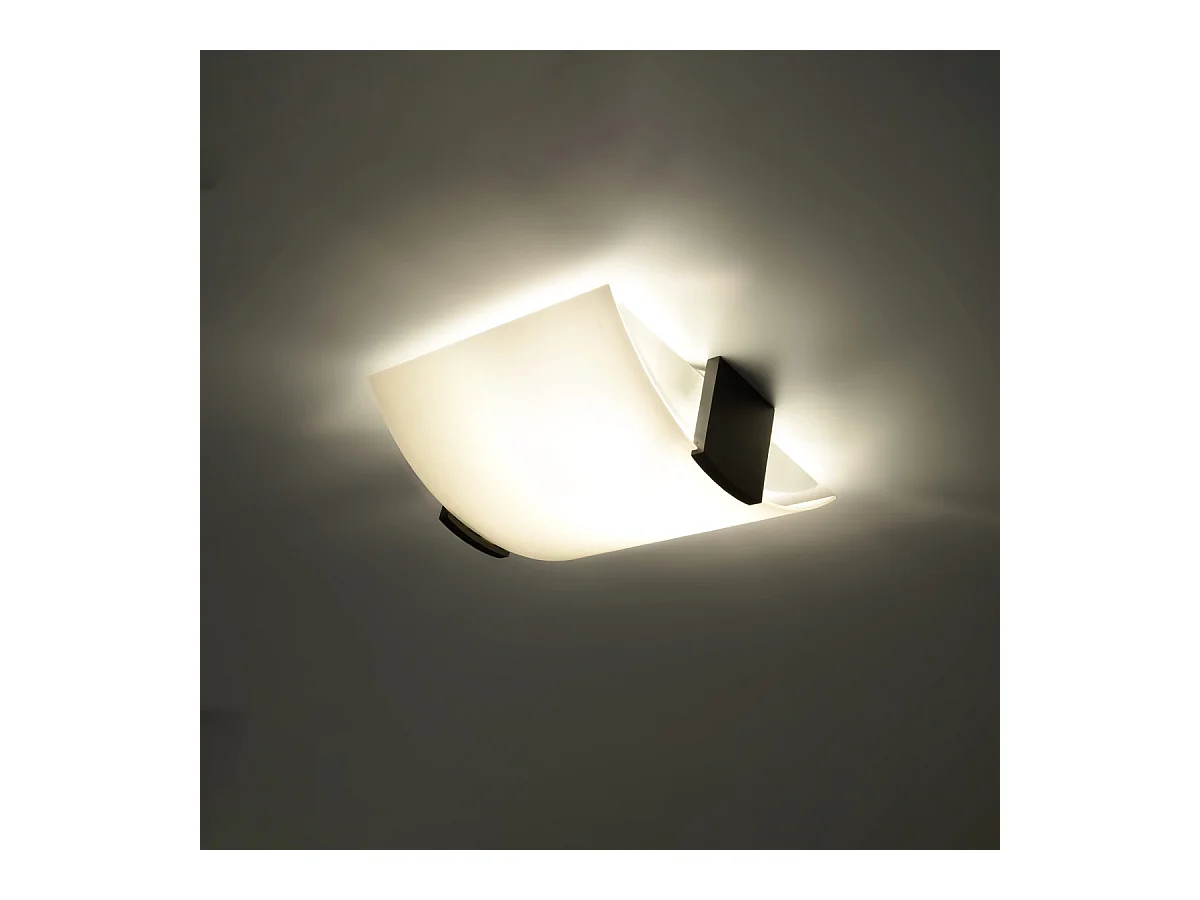 Plafonniers Nerilo moderne en bois/verre - 2 sources lumineuses 4000K - L.30 x H.14 cm - wengé/blanc