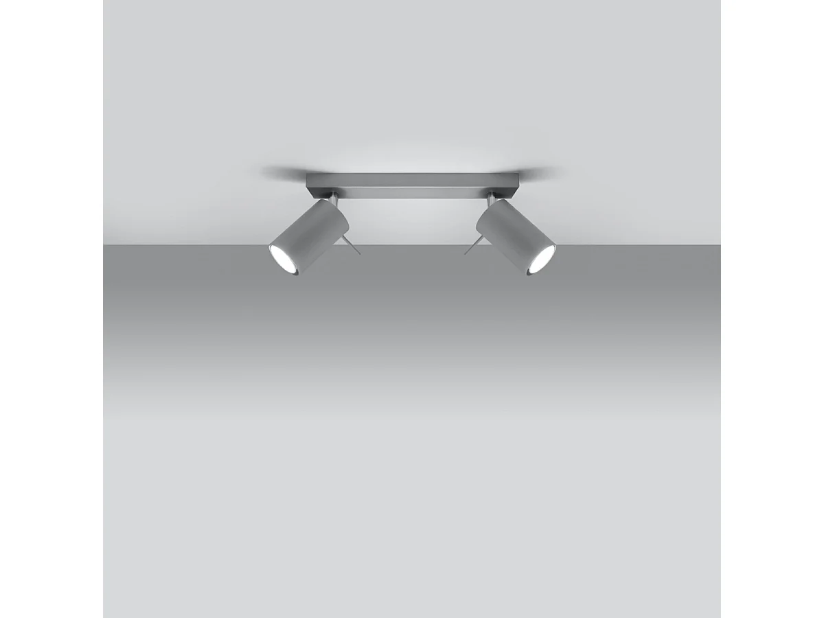 Plafonniers Briix moderne en acier - 2 sources lumineuses 4000K - L.30 x H.16 cm - gris