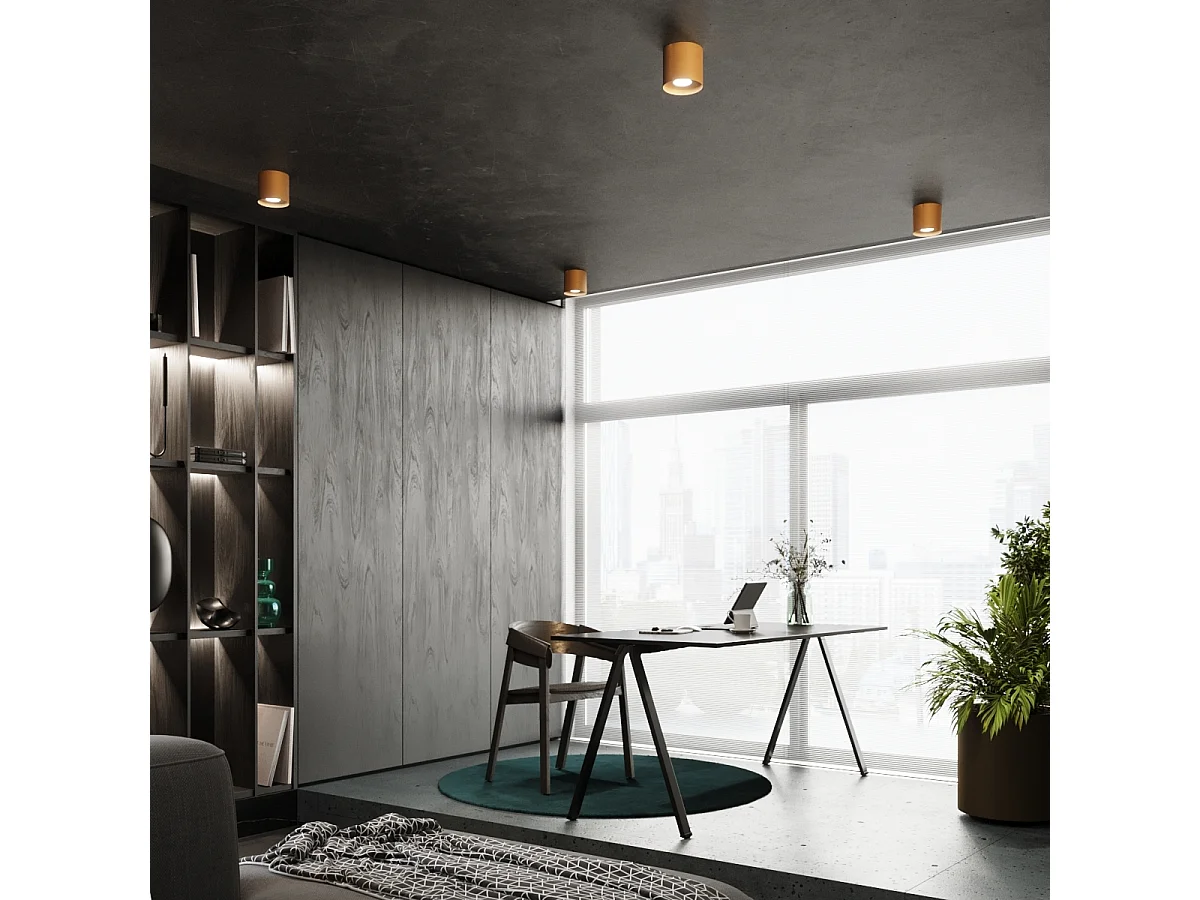 Plafonniers Shiis minimaliste en aluminium - 1 sources lumineuses 4000K - L.12 x H.11 cm - doré