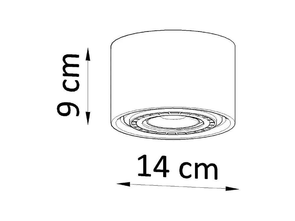 Plafonniers Blaze industriel en béton - 1 sources lumineuses 3000K - L.14 x H.9 cm - gris