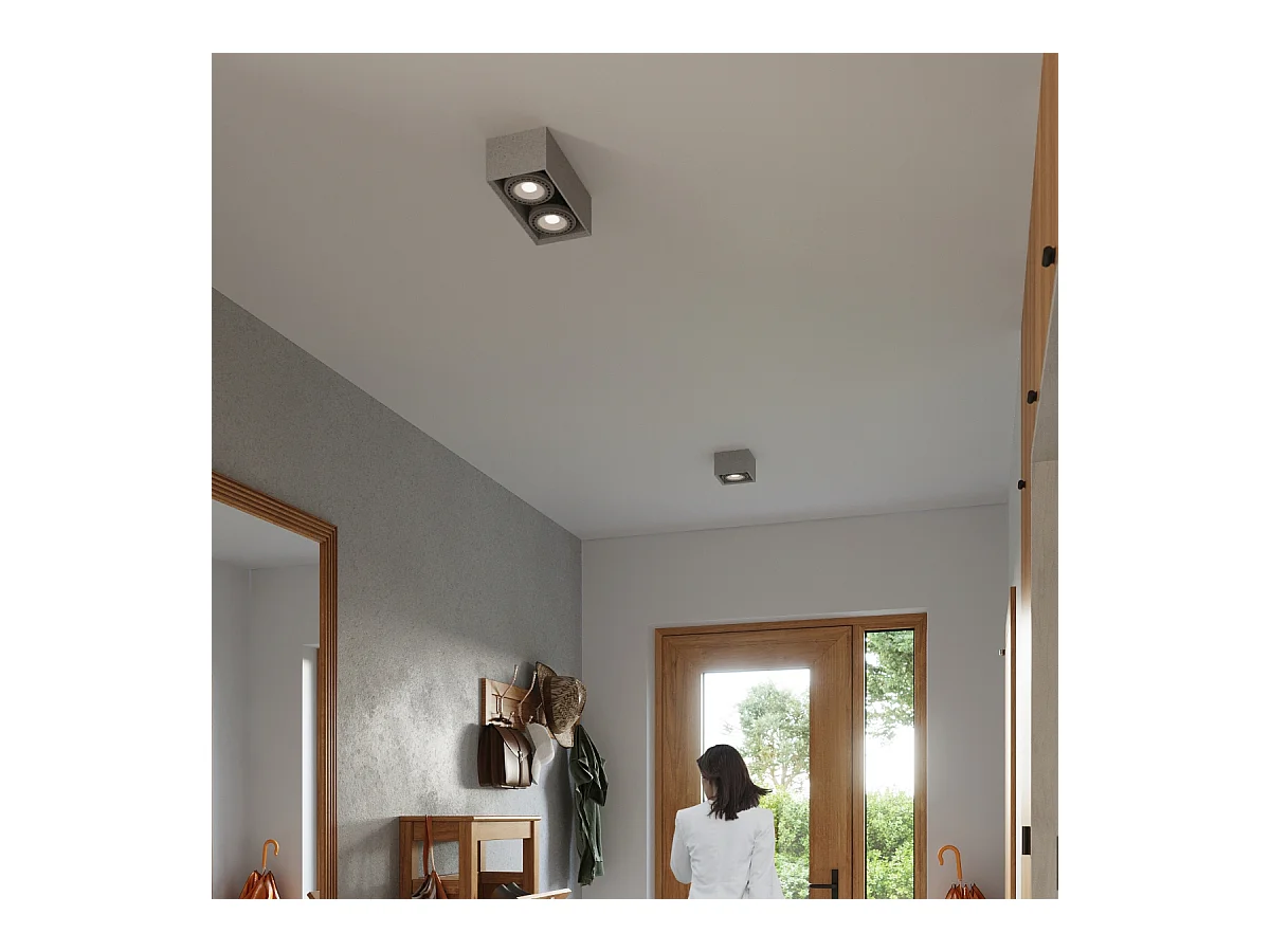 Plafonniers Zentra industriel en béton - 2 sources lumineuses 3000K - L.27 x H.9 cm - gris