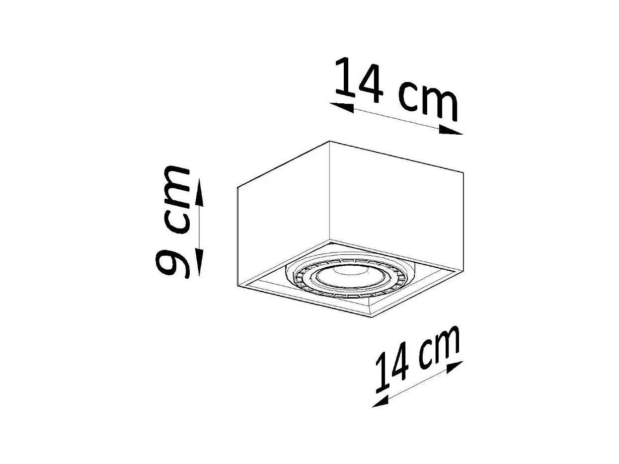 Plafonniers Zentra industriel en béton - 1 sources lumineuses 3000K - L.14 x H.9 cm - gris