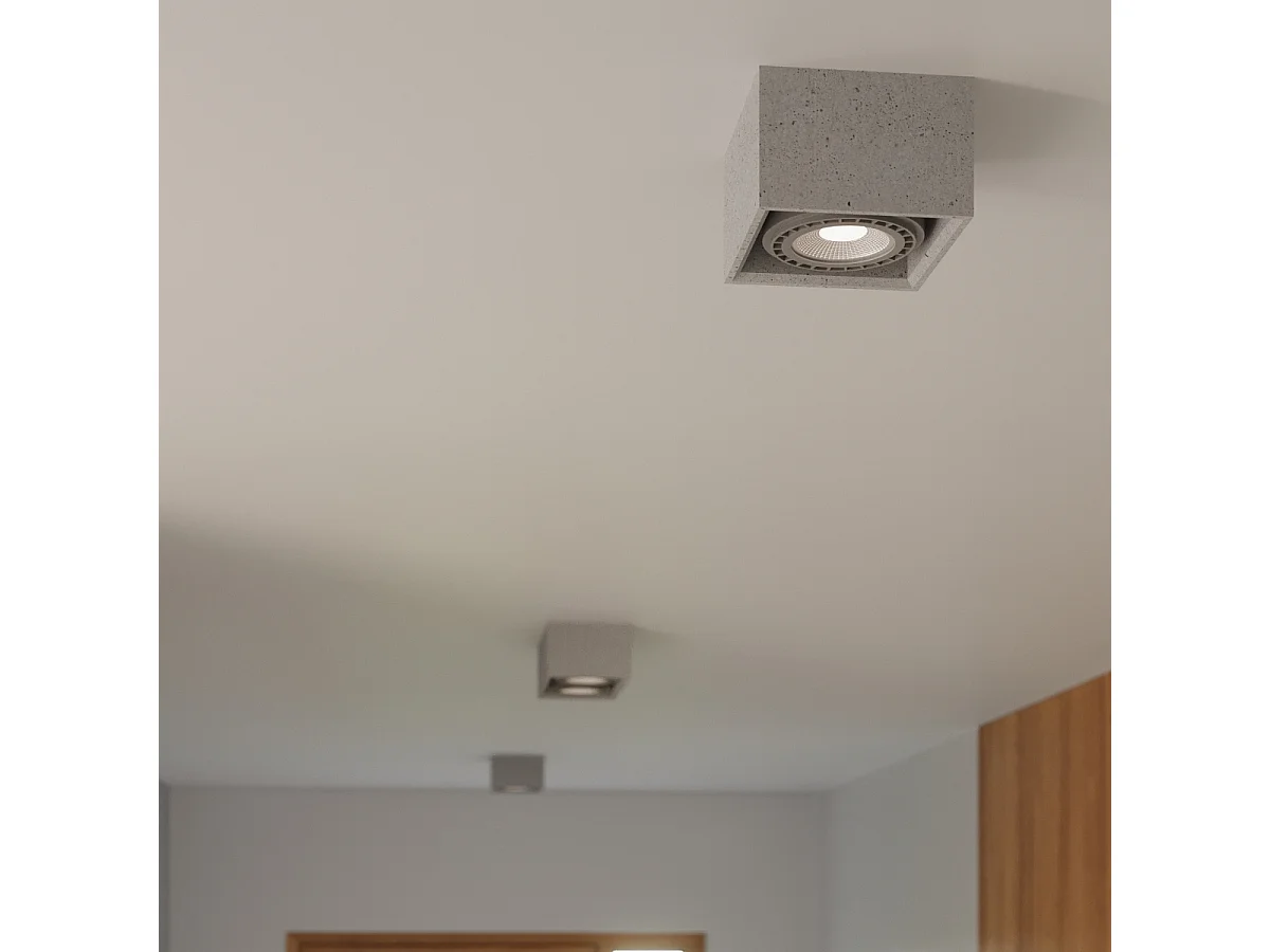 Plafonniers Zentra industriel en béton - 1 sources lumineuses 3000K - L.14 x H.9 cm - gris
