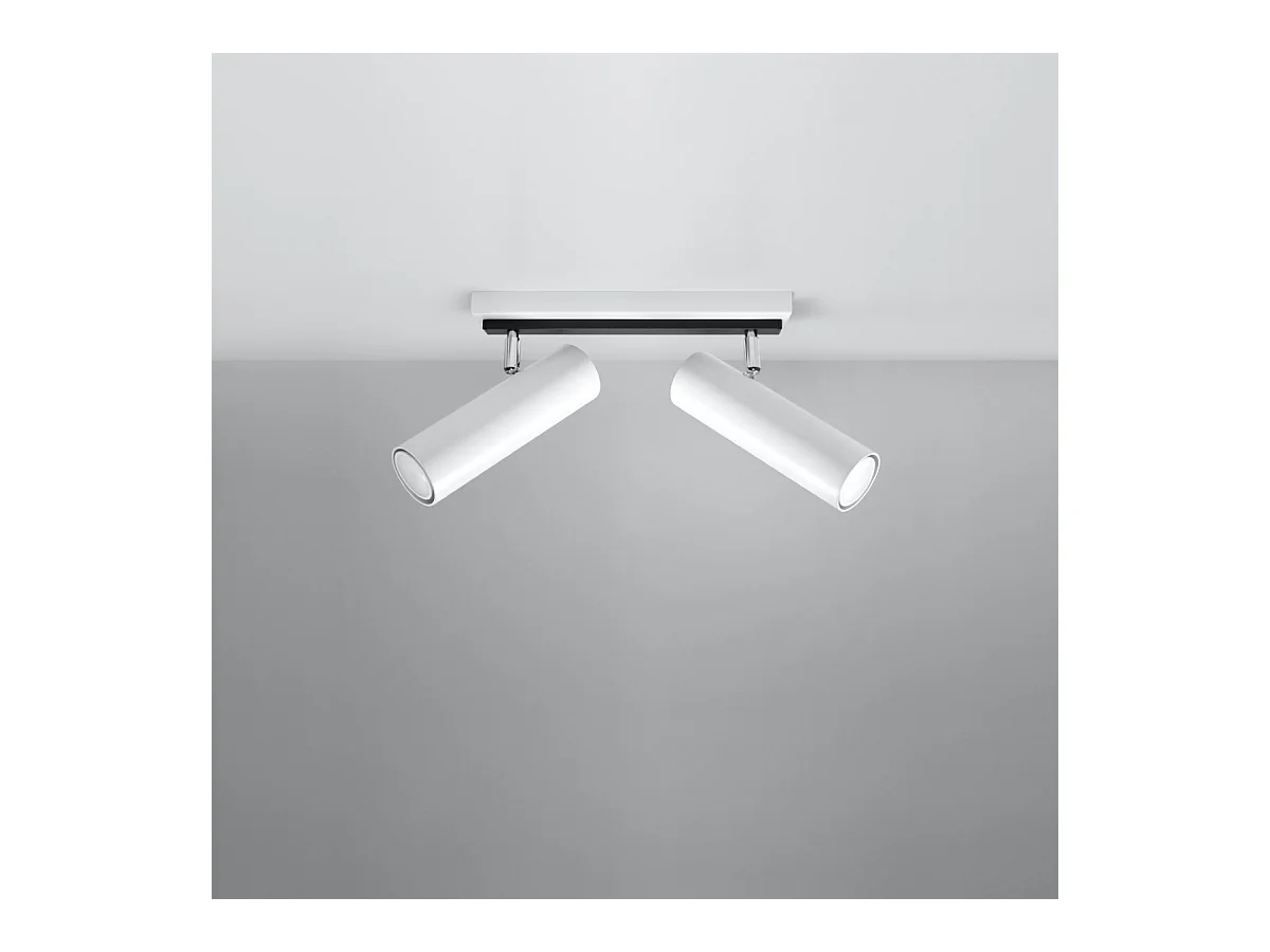 Plafony nowoczesny Invicta, stal - 2 źródło światła 3000K - L.30 x H.20 cm - biały