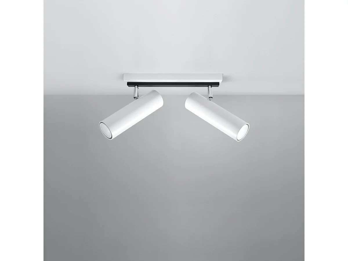 Plafonniers Invicta moderne en acier - 2 sources lumineuses 3000K - L.30 x H.20 cm - blanc