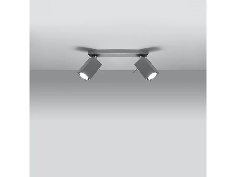 Plafonniers Briow moderne en acier - 2 sources lumineuses 3000K - L.30 x H.16 cm - gris