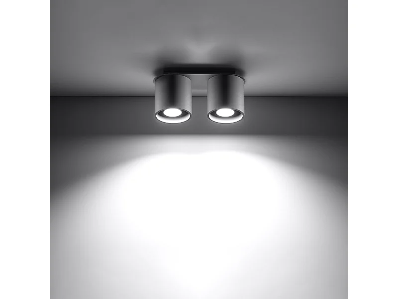 Plafonniers Celeris moderne en aluminium - 2 sources lumineuses 3000K - L.26 x H.12 cm - gris