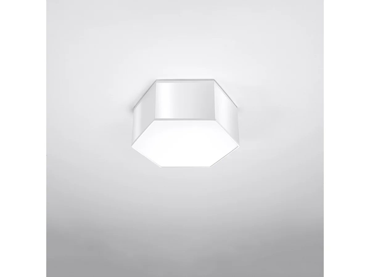 Plafonniers Solinia moderne en PVC - 2 sources lumineuses 3000K - L.30,5 x H.13,5 cm - blanc