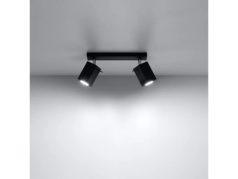 Plafonniers Briow moderne en acier - 2 sources lumineuses 3000K - L.30 x H.16 cm - noir