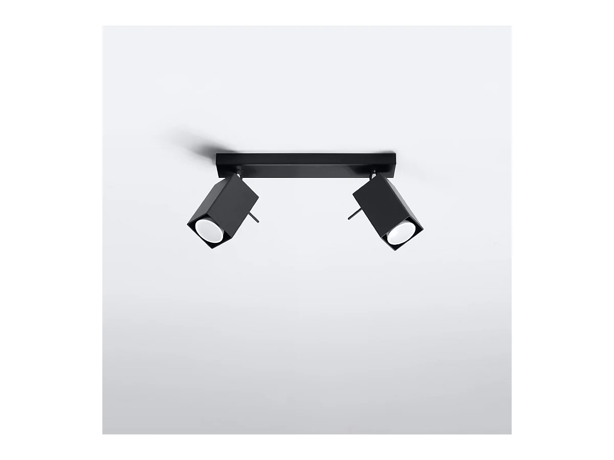 Plafonniers Briow moderne en acier - 2 sources lumineuses 3000K - L.30 x H.16 cm - noir