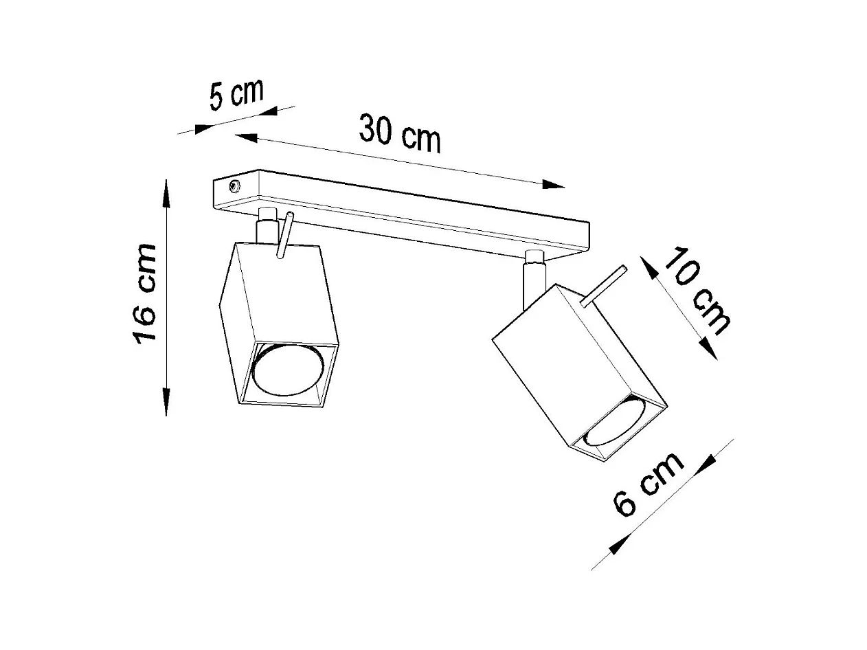 Plafonniers Briow moderne en acier - 2 sources lumineuses 3000K - L.30 x H.16 cm - noir