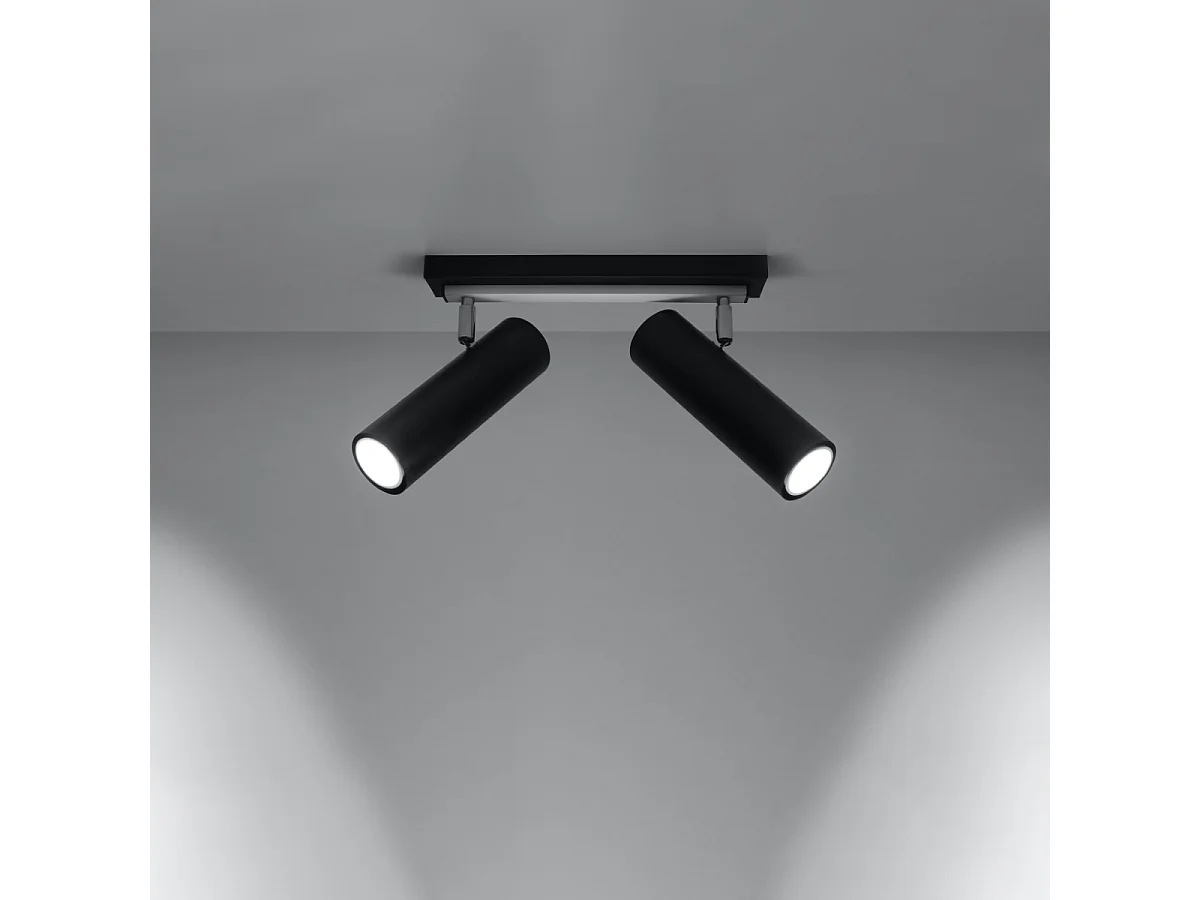 Plafondlampen Invicta modern van  - 2 lichtbronnen 3000K - L.30 x H.20 cm - zwart