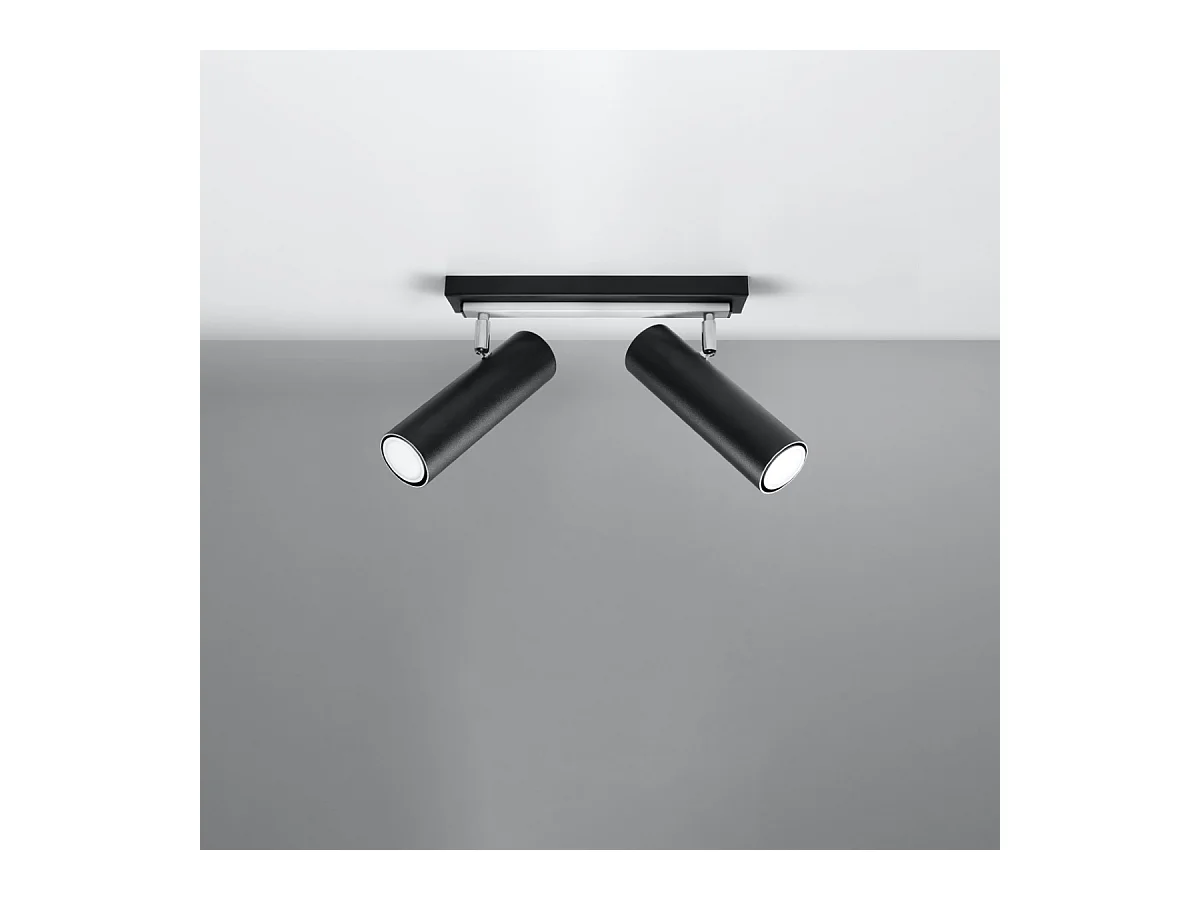 Plafondlampen Invicta modern van  - 2 lichtbronnen 3000K - L.30 x H.20 cm - zwart