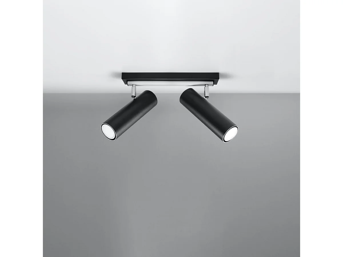 Plafonniers Invicta moderne en acier - 2 sources lumineuses 3000K - L.30 x H.20 cm - noir