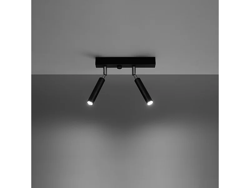 Plafondlampen Astix modern van  - 2 lichtbronnen 3000K - L.25 x H.20 cm - zwart