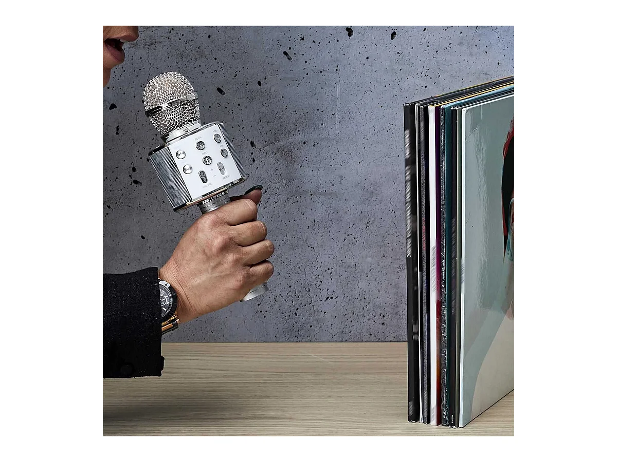 Micro Enceinte Karaoké Sans Fil - SINGASONG