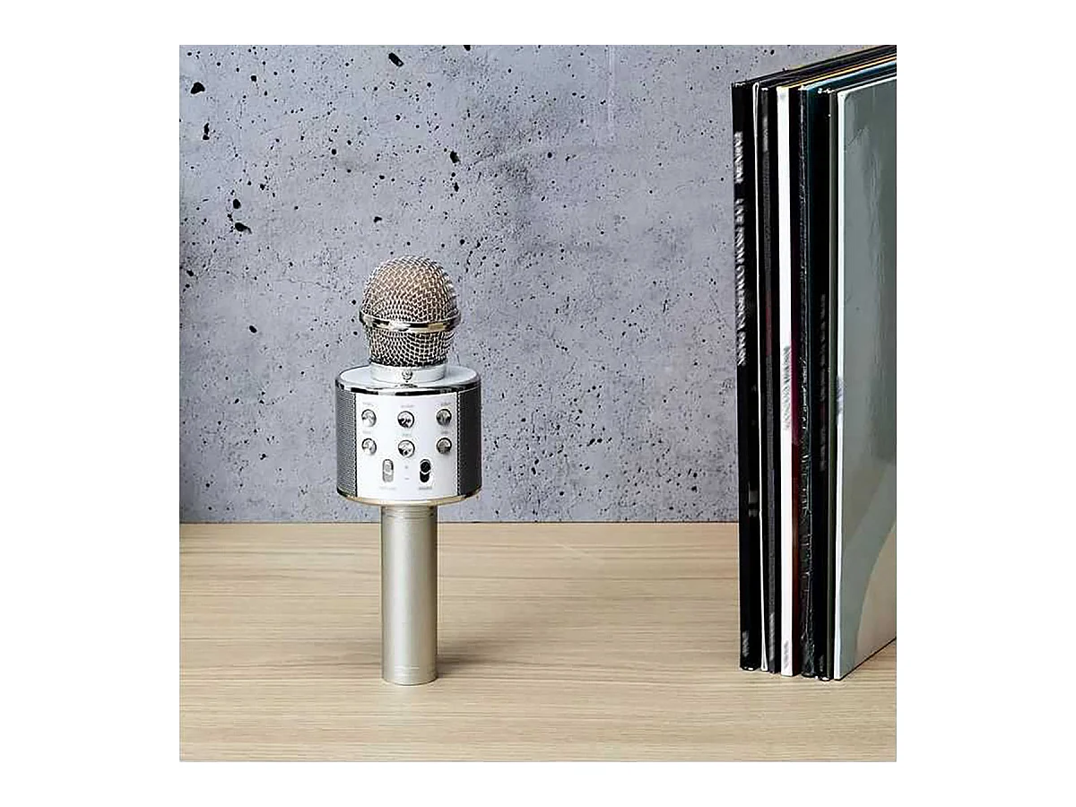 Micro Enceinte Karaoké Sans Fil - SINGASONG