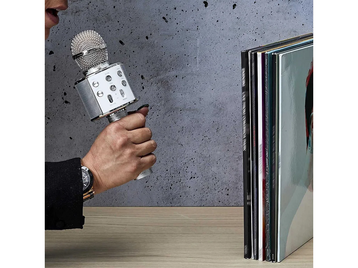 Micro Enceinte Karaoké Sans Fil - SINGASONG