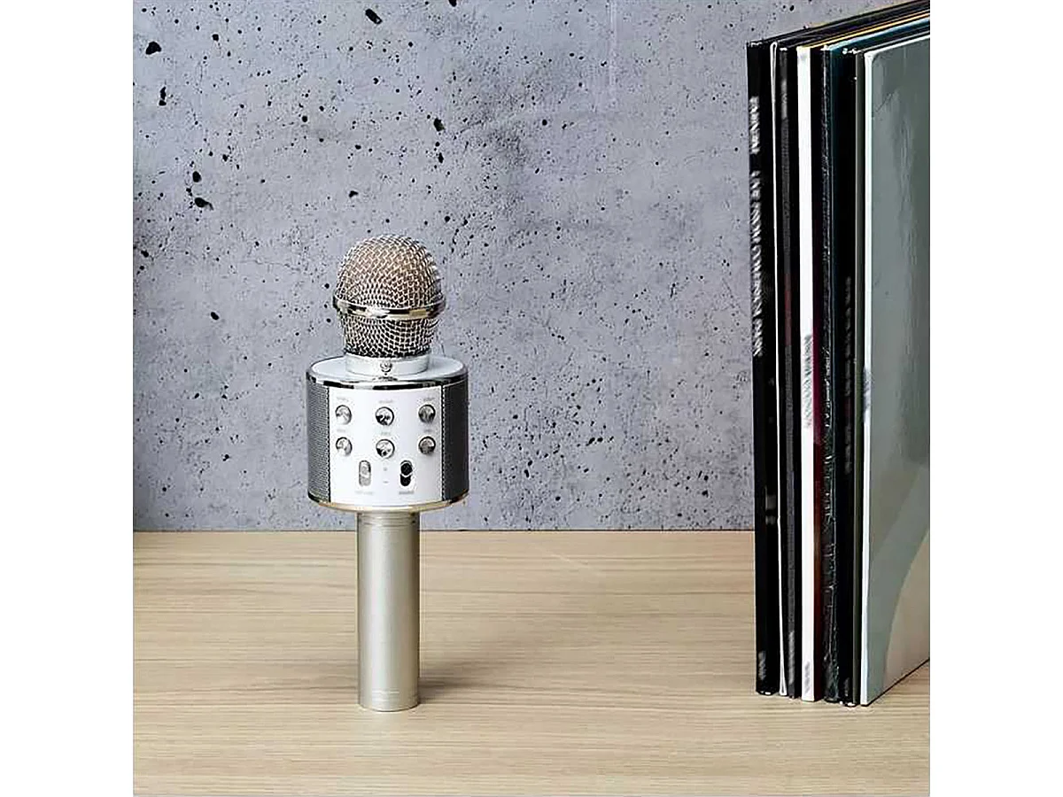 Micro Enceinte Karaoké Sans Fil - SINGASONG