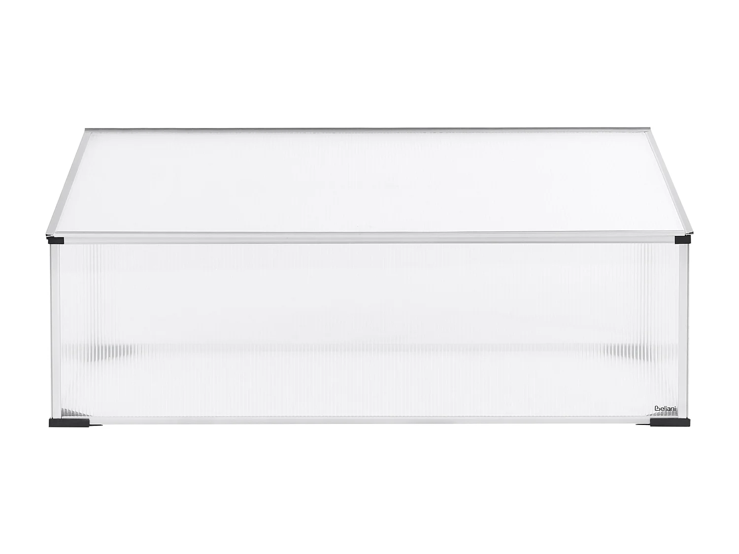 Serre de jardin CARFIZZI Argenté 60 cm